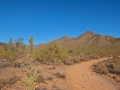 DSCF1017