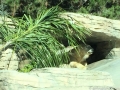 IMG_0117 IMG_0117