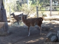 IMG_0137 IMG_0137