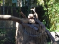 IMG_0200 IMG_0200