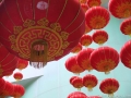 DSCF1640