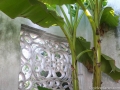 DSCF1768 DSCF1768