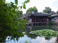 DSCF1769 DSCF1769