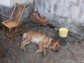 DSCF1817 DSCF1817