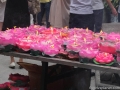 DSCF1900 DSCF1900