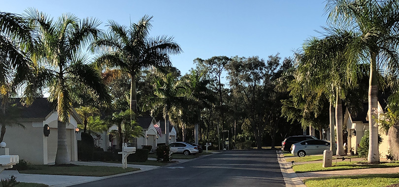 Neighborhood